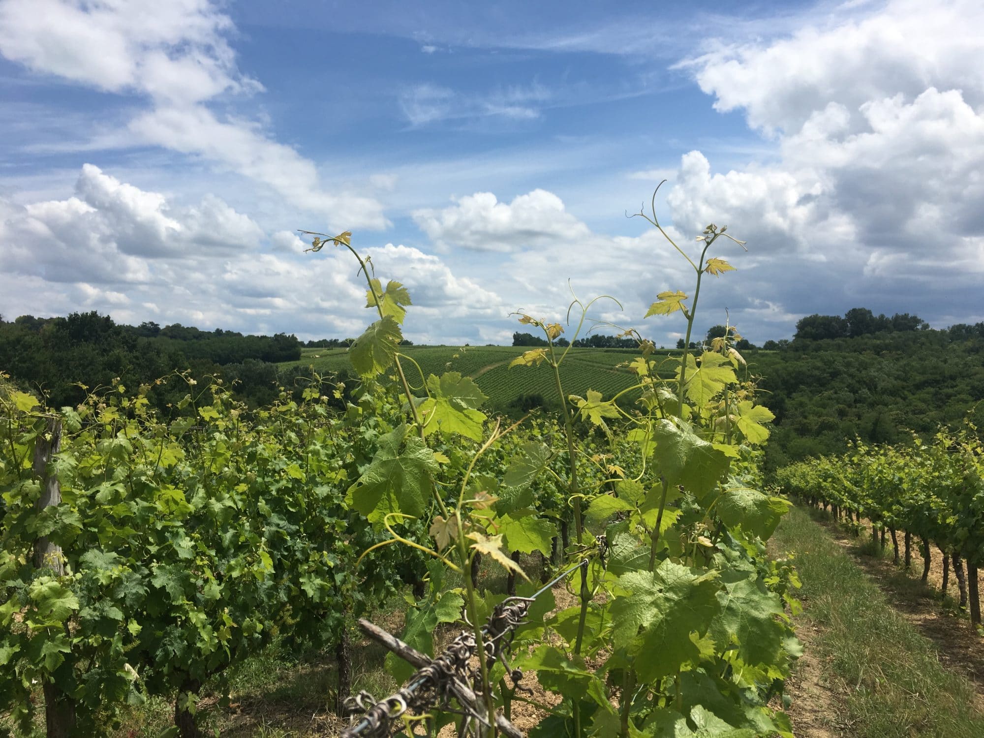 01 ete l'été au chateau Beneyt