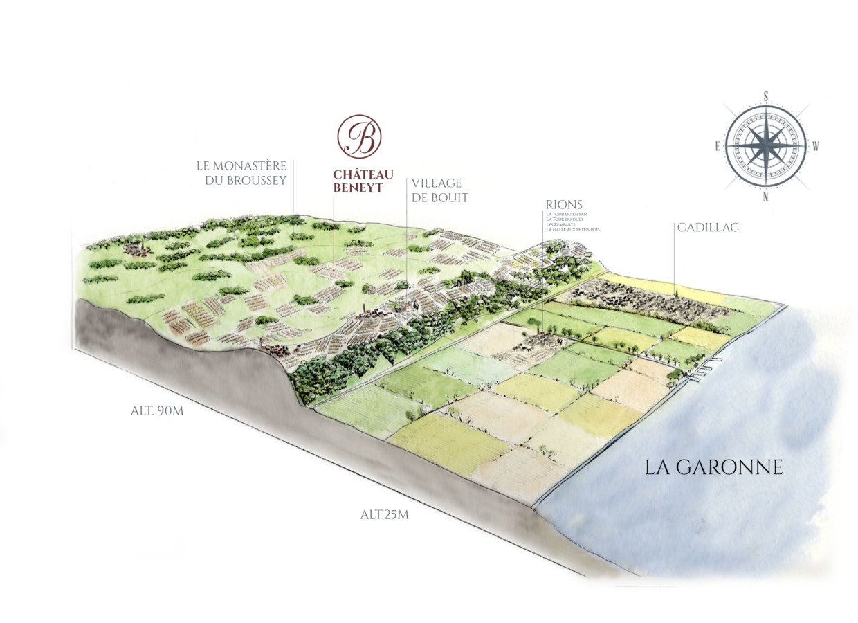 ILLUSTRATION-V5 topographie vignobles château Beneyt